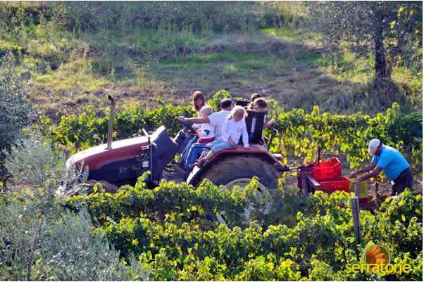 Agriturismo Serratone Magliano in Toscana Esterno foto